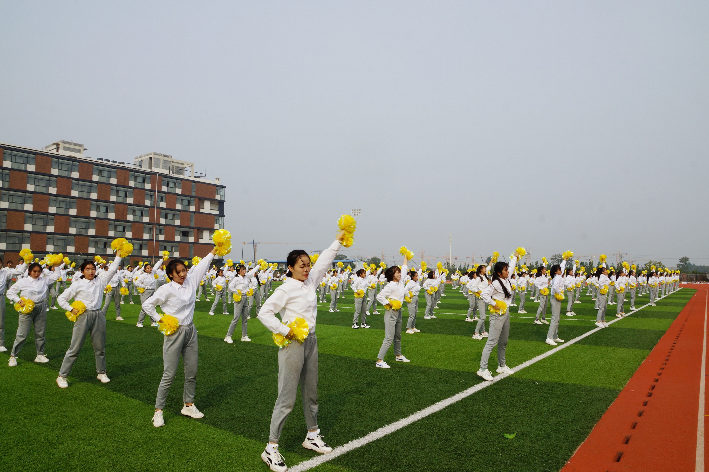 1573782219296019.jpg DSC09529.JPG